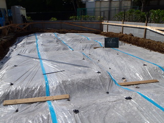 P4050001.JPG