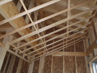 P5310007.JPG